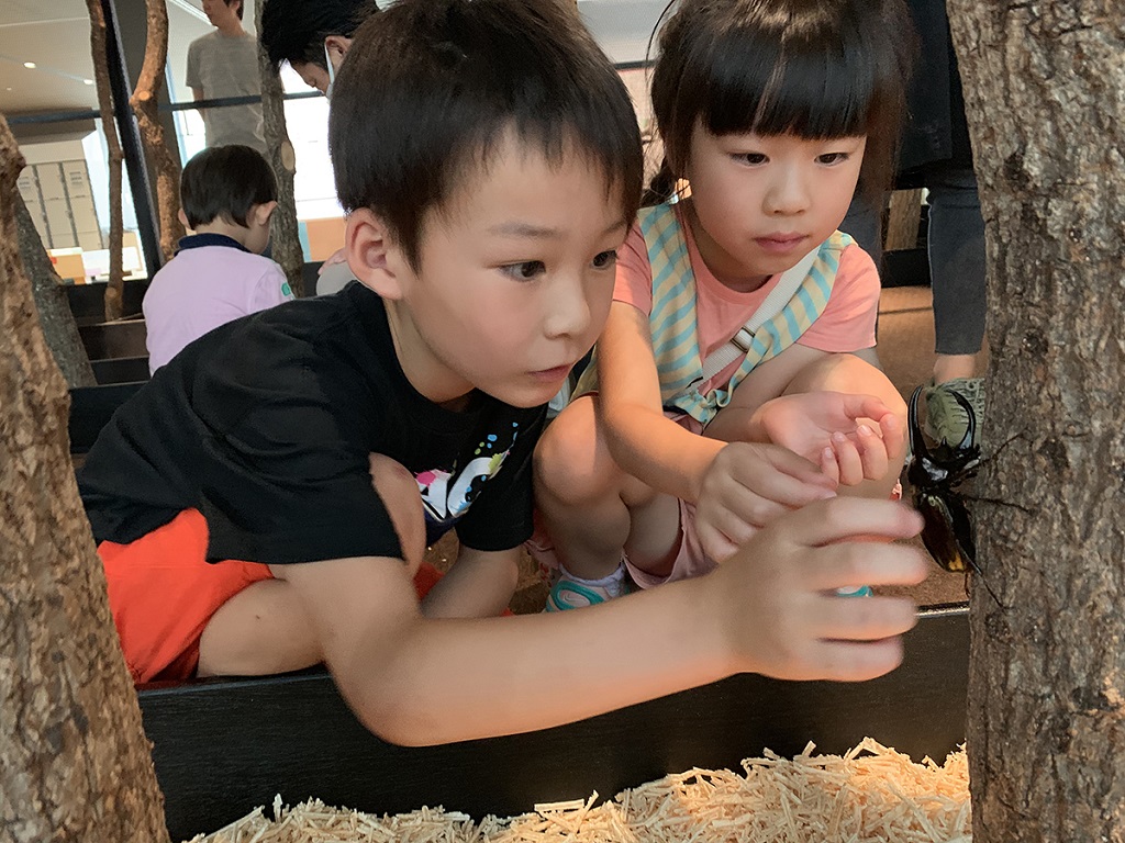 みんなの世界昆虫展2019