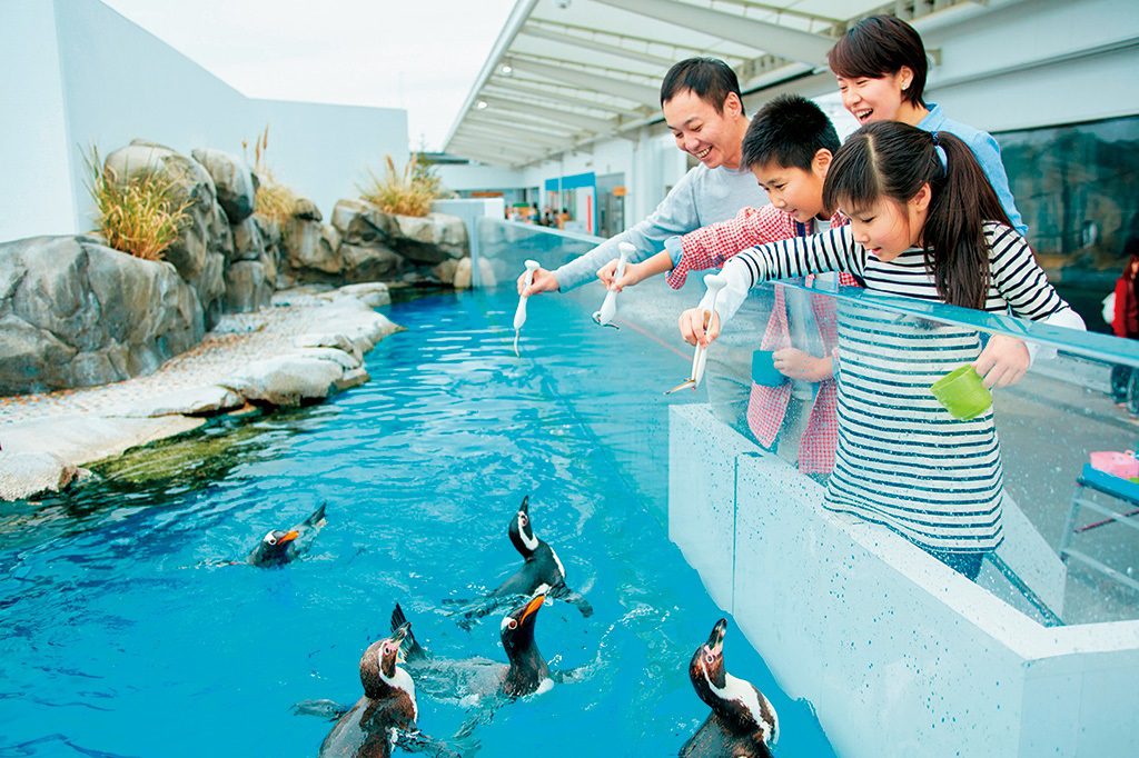 仙台うみの杜水族館のイルカ・アシカパフォーマンスは東北最大級！ふれあい体験も充実