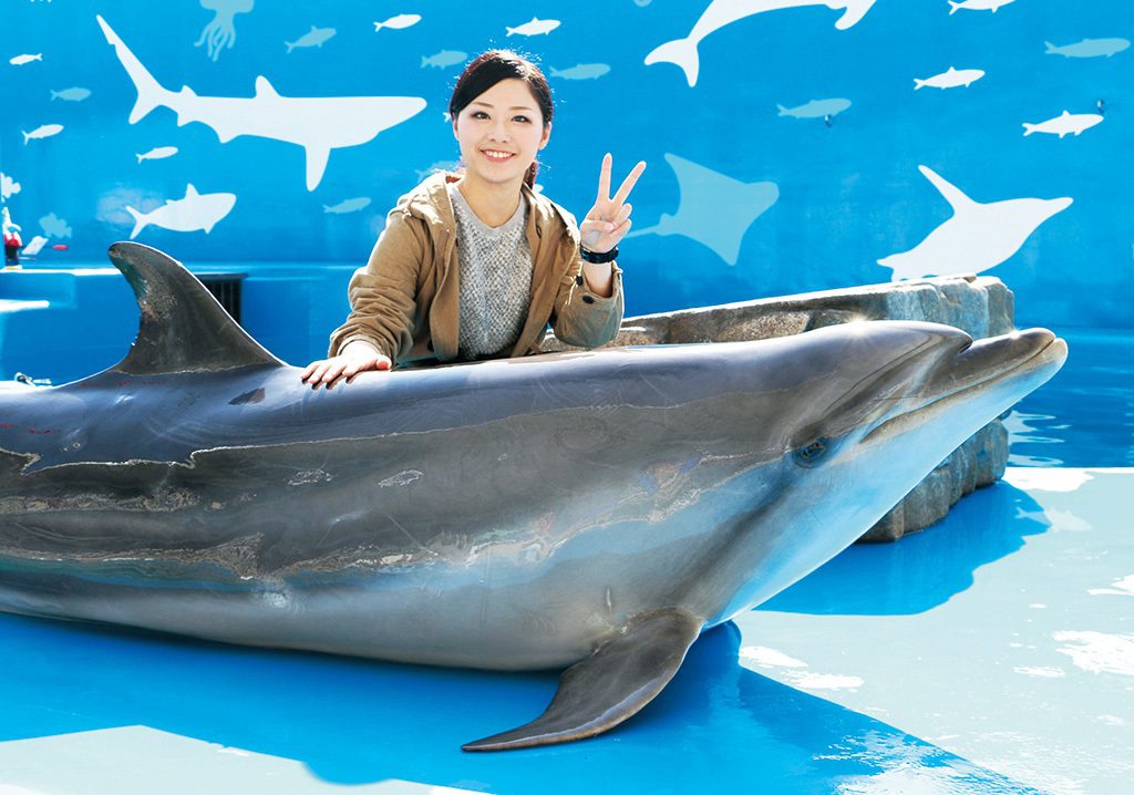 イルカにタッチ＆フォト／仙台うみの杜水族館（宮城県／仙台市）