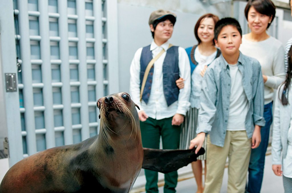スタジアムバックヤードツアー／仙台うみの杜水族館（宮城県／仙台市）