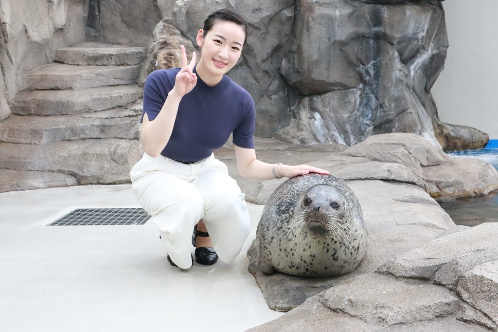 ゴマフアザラシにタッチしながら記念写真撮影／仙台うみの杜水族館（宮城県／仙台市）