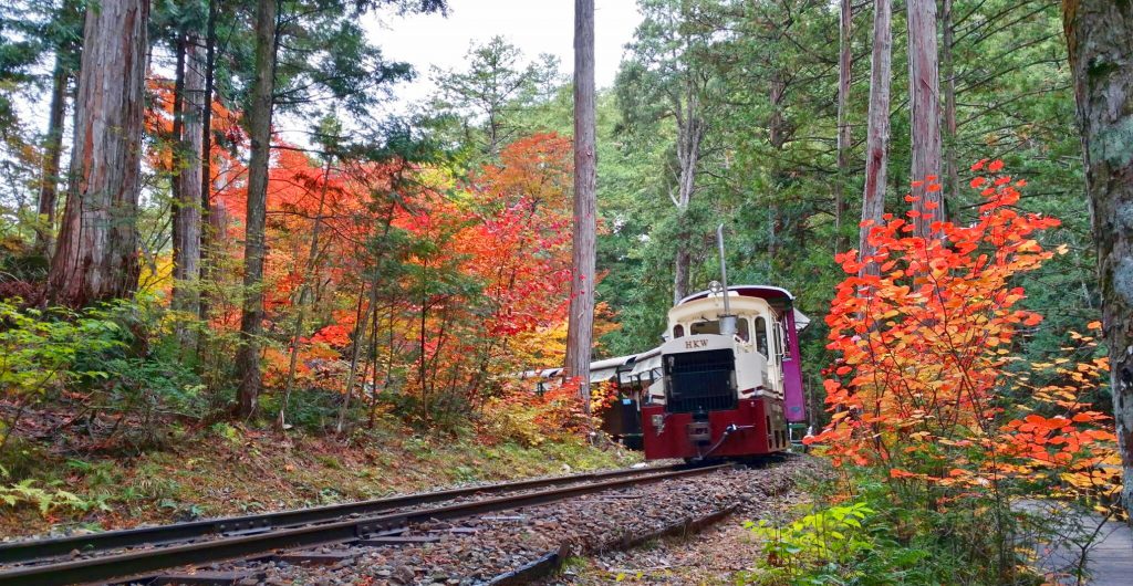 雄大な美林を縫って走る森林鉄道／赤沢森林鉄道（長野県／上松町）