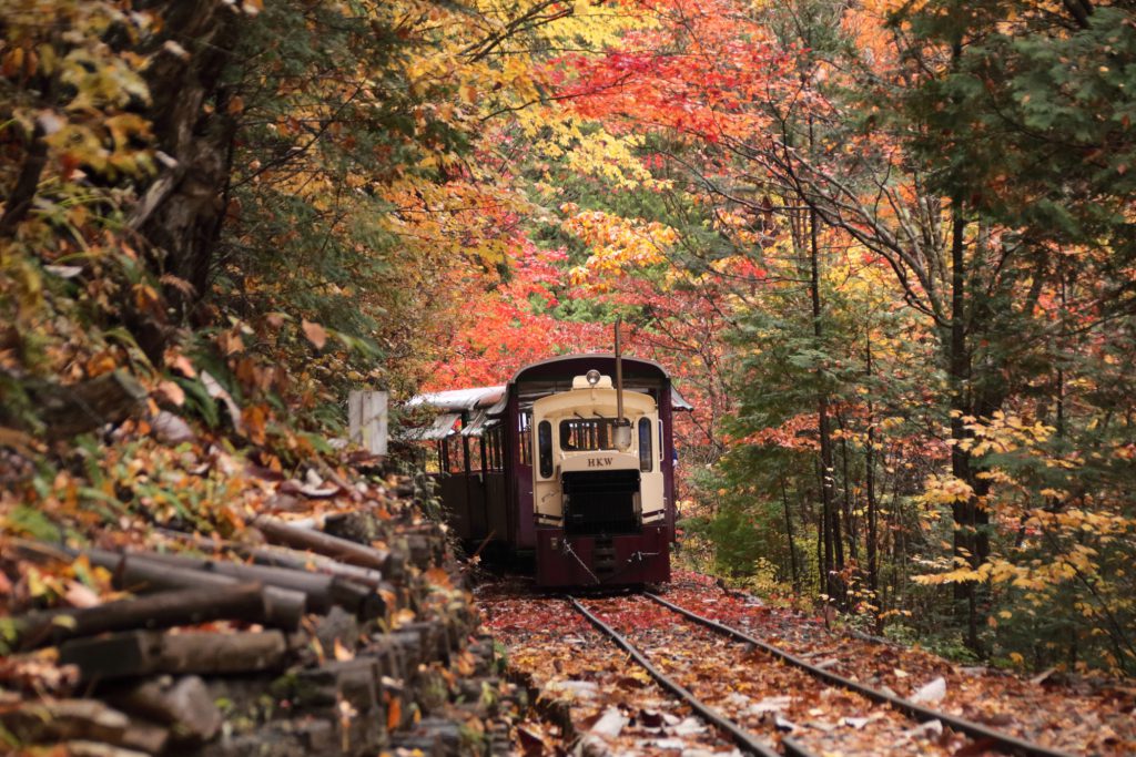 紅葉の中を走るトロッコ列車／赤沢森林鉄道（長野県／上松町）