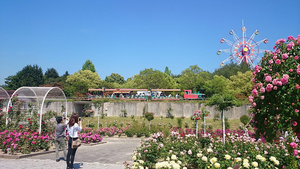 緑豊かな公園の様子/和木町蜂ケ峯総合公園(山口県/玖珂郡和木町)