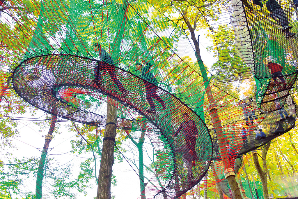 森の中の多様な色形の網で飛んだり跳ねたり／森の空中あそび「パカブ」（神奈川県／南足柄市）