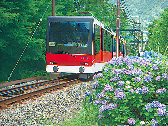 209mの高低差を箱根登山ケーブルカーで山登り（神奈川県／箱根町）