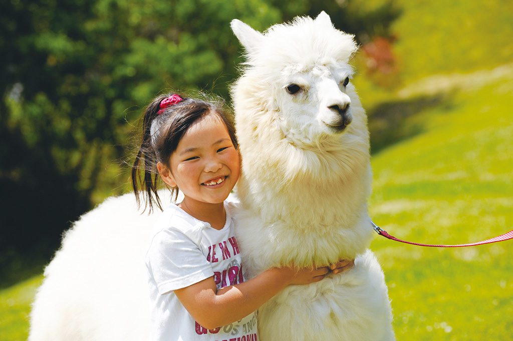 どうぶつとふれあう子ども／神崎農村公園ヨーデルの森（兵庫県／神河町）