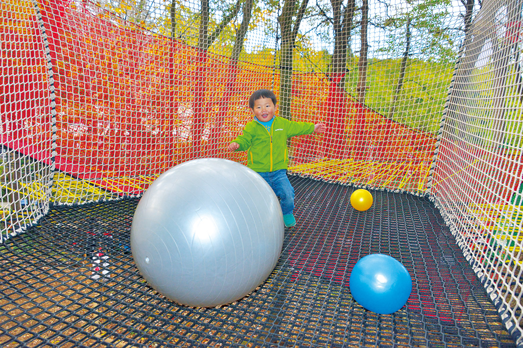 フランス生まれの進化系アスレチック／森の空中あそび「パカブ」（神奈川県／南足柄市）
