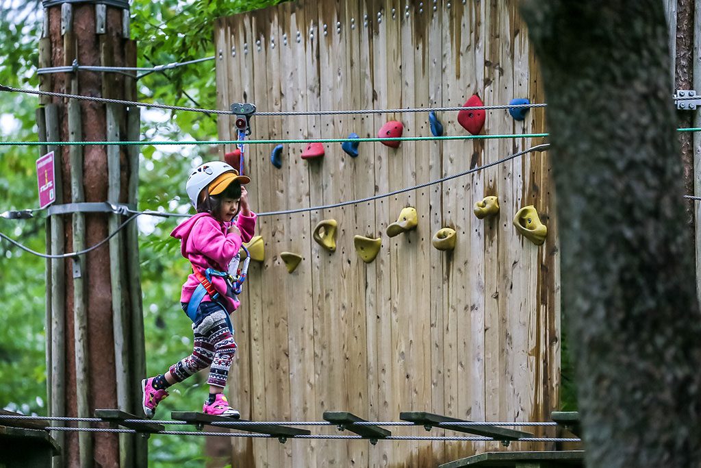 空中アスレチックを楽しむ女の子/フォレストアドベンチャー・箱根(神奈川県/足柄下郡箱根町)