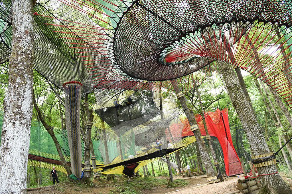 森に張り巡らされた巨大な網/森の空中あそび「パカブ」/(神奈川県/南足柄市)