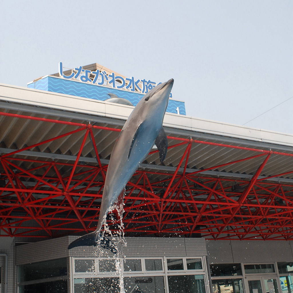 イルカショー「マエストロ! ~Clap your hands!~」/しながわ水族館(東京都/品川区)