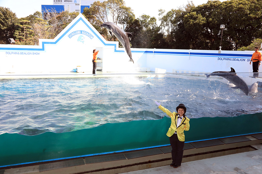 イルカショー「マエストロ! ~Clap your hands!~」/しながわ水族館(東京都/品川区)