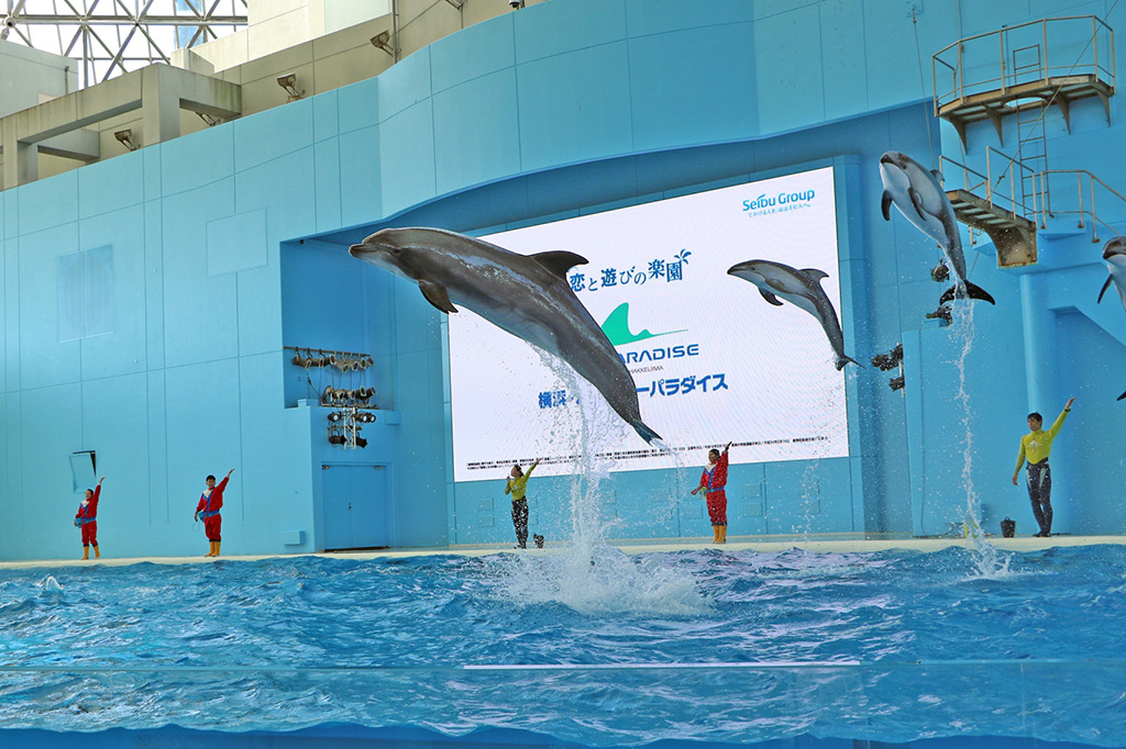 海の動物たちのショー デイショー/横浜・八景島シーパラダイス(神奈川県/横浜市)