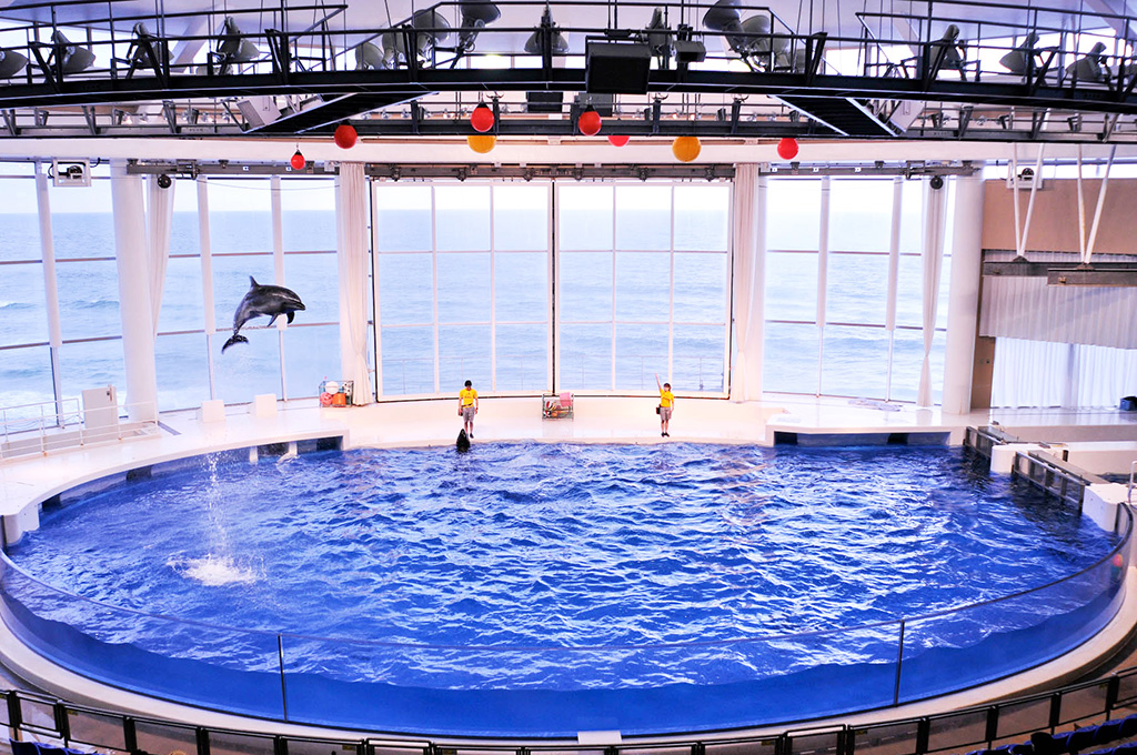 イルカ・アシカオーシャンライブ/アクアワールド茨城県大洗水族館(茨城県/大洗町)