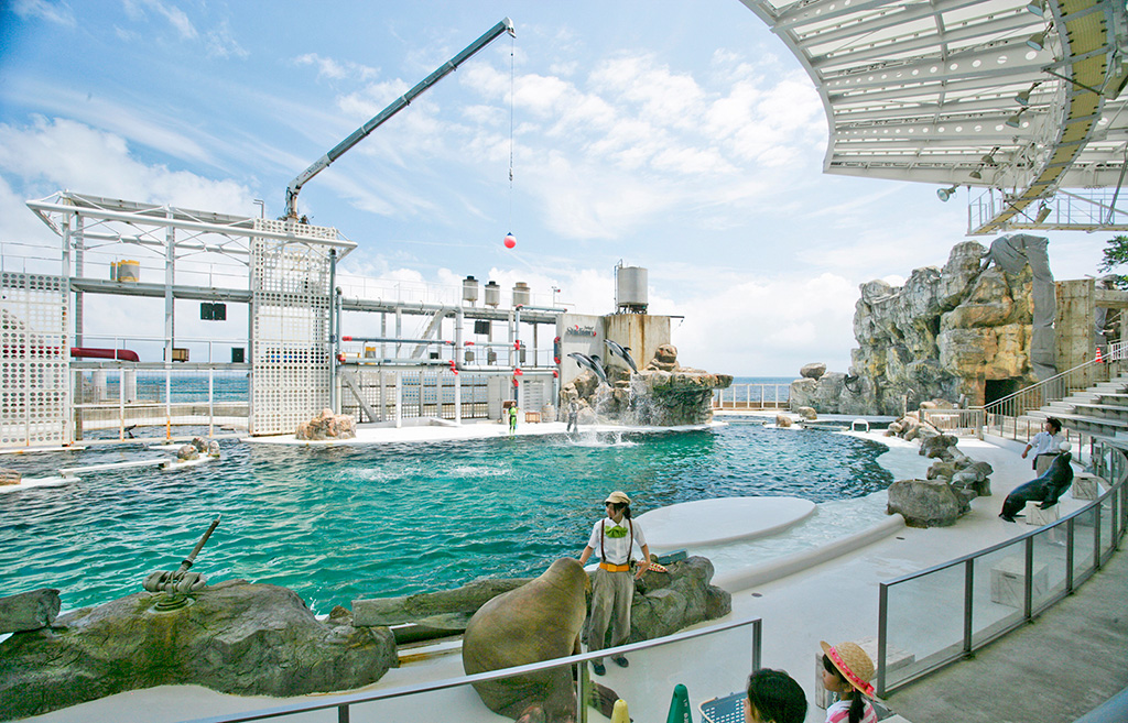 日本海をバックに開放感抜群のシーランドスタジアム／城崎マリンワールド（兵庫県／豊岡市）