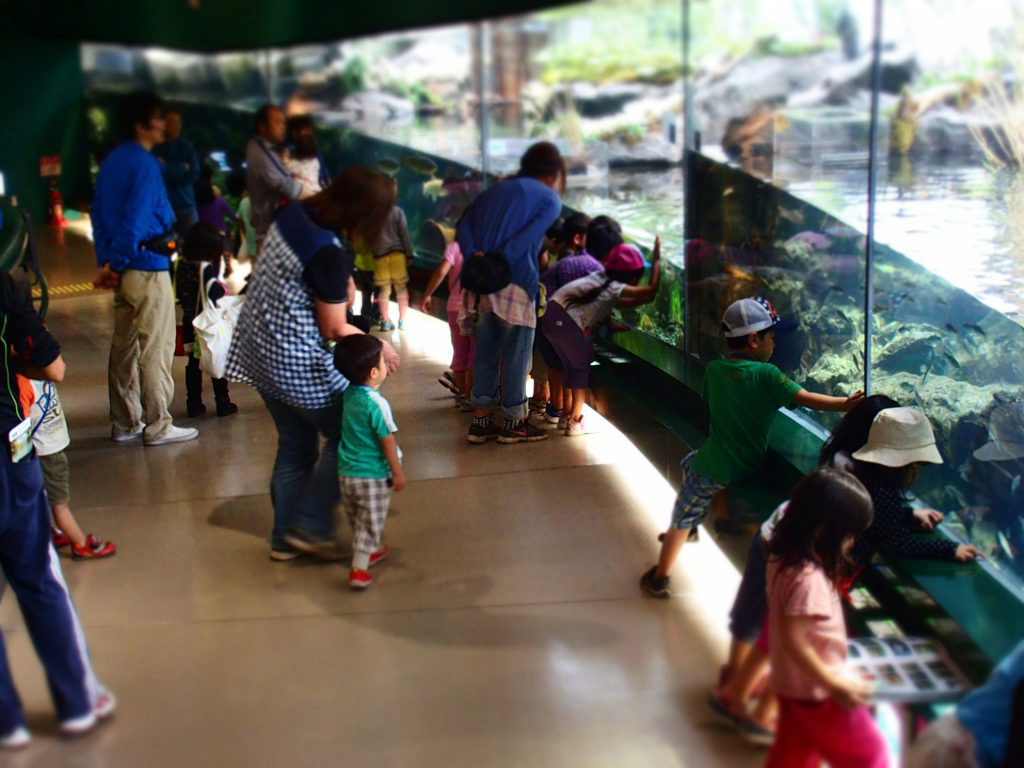 魚にふれながらエサやり?! 相模川ふれあい科学館は、ユニークな体験がある水族館