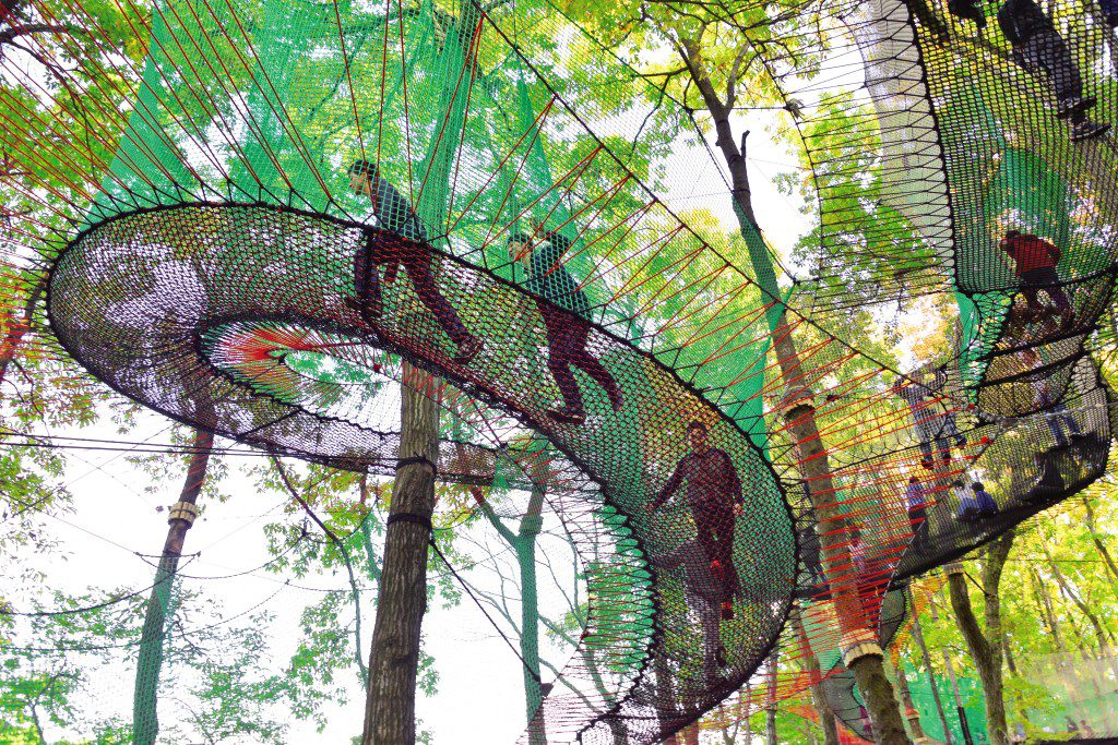 網の上を揺れたり跳ねたり、網の上の遊び場／森の空中あそびパカブ（神奈川県／南足柄市）