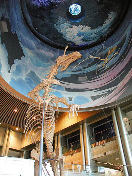 チンタオサウルスの骨格標本が出迎える／神奈川県立生命の星・地球博物館（神奈川県／小田原市）