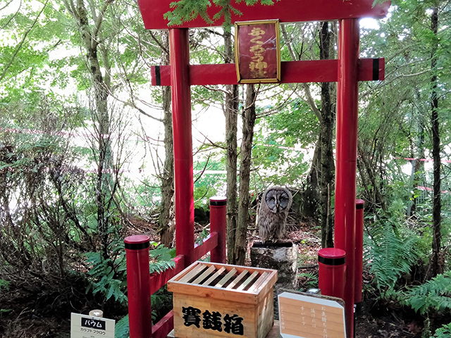 ふくろうの杜の奥のふくろう神社/池の平ホテル(長野県/立科町)
