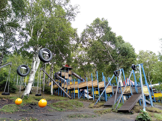 ターザンロープも用意されている/池の平ホテル(長野県/立科町)