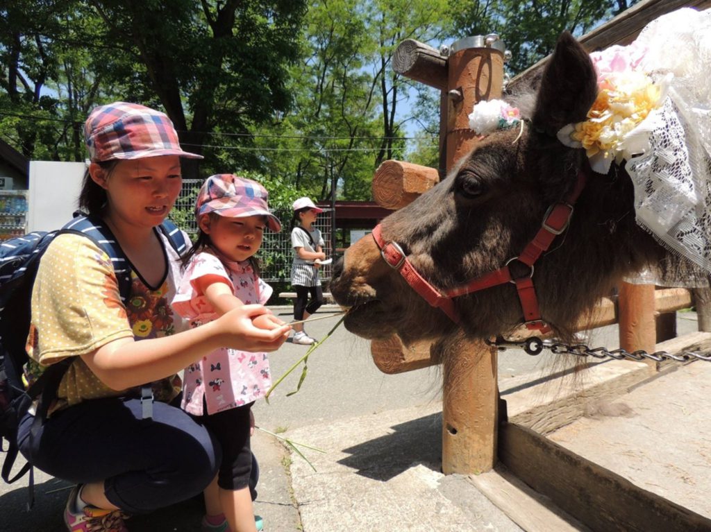 長野市茶臼山動物園で、レッサーパンダなどの自然な姿を観察＆小動物とのふれあい