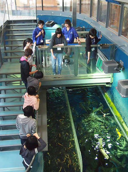 週に一度のエサやり体験／森の中の水族館。山梨県立富士湧水の里水族館（山梨県／忍野村）