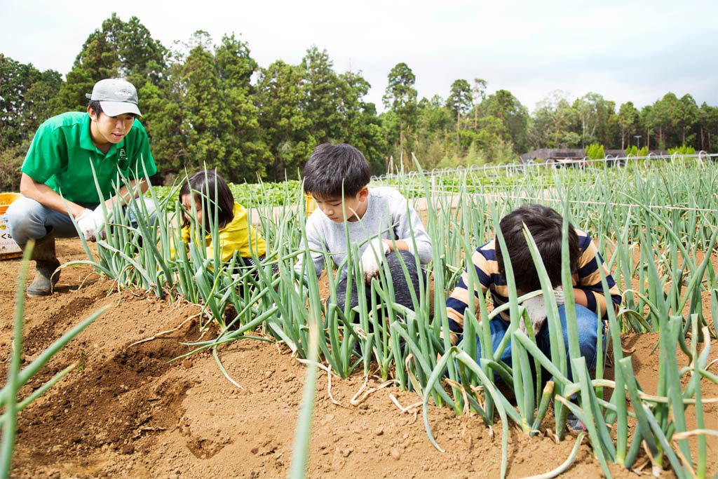 長ネギを慎重に抜く子供たち/農園リゾート ザファーム(千葉県/香取市)