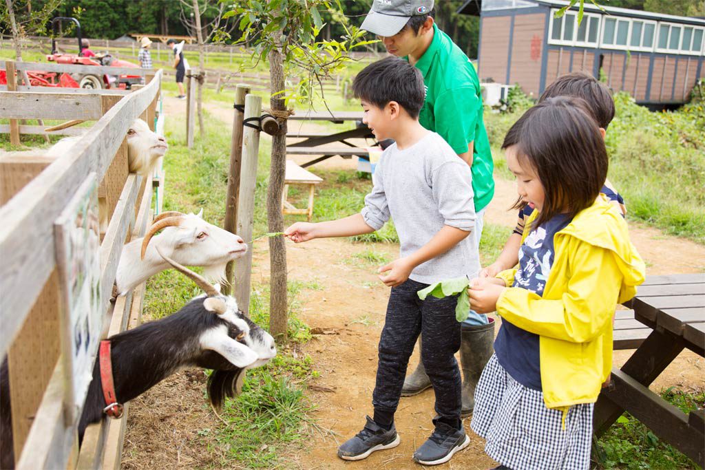 ヤギにエサやりをする子どもたち/農園リゾート ザファーム(千葉県/香取市)