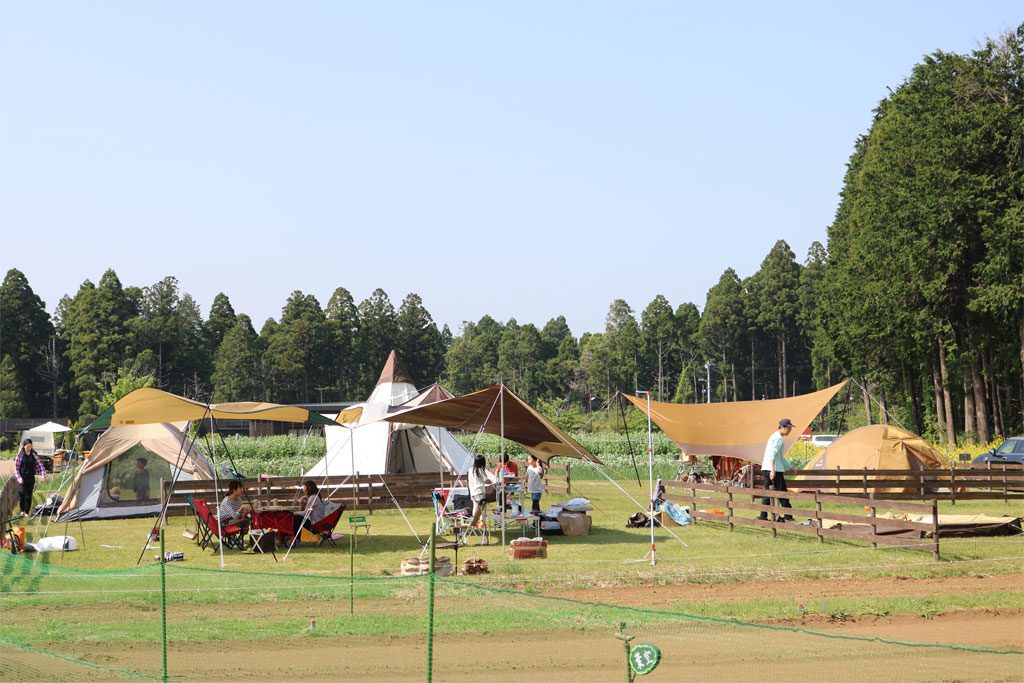 持ち込みテント用のキャンプサイト/農園リゾート ザファーム(千葉県/香取市)