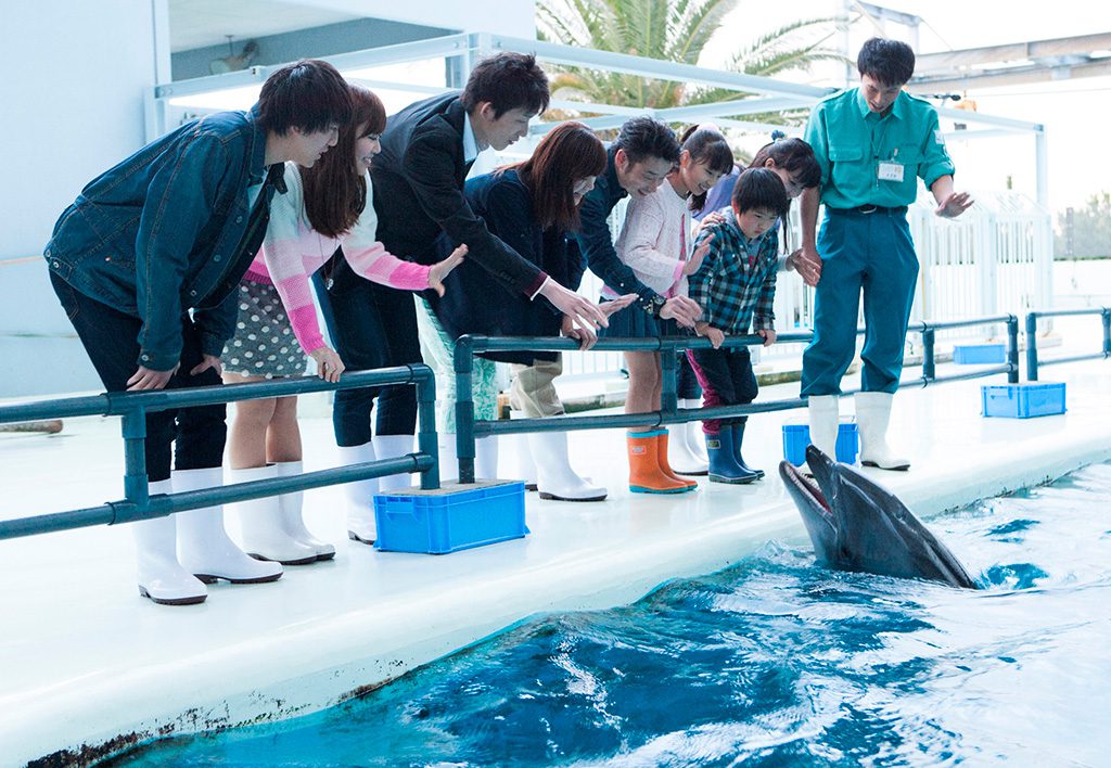 関東のバックヤードツアーがある水族館10選！裏側に潜入できる人気の体験