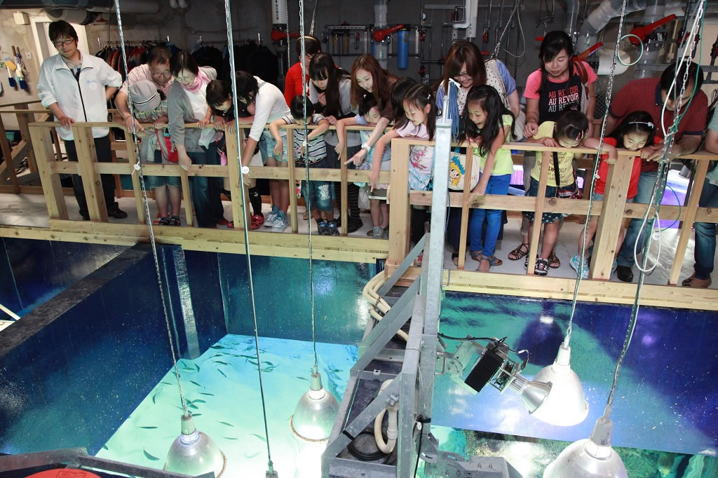 探検ガイドツアーの様子/サンシャイン水族館(東京都/豊島区)