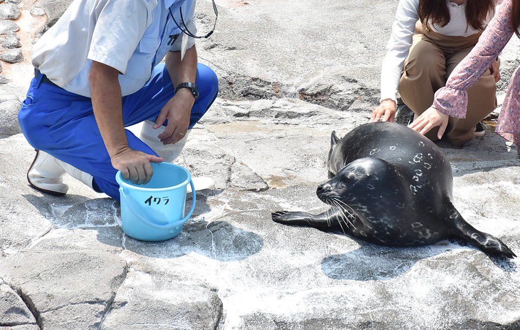 ふれあいラグーンをめぐる「ウォーキングツアー」の様子/横浜・八景島シーパラダイス(神奈川県/横浜市)