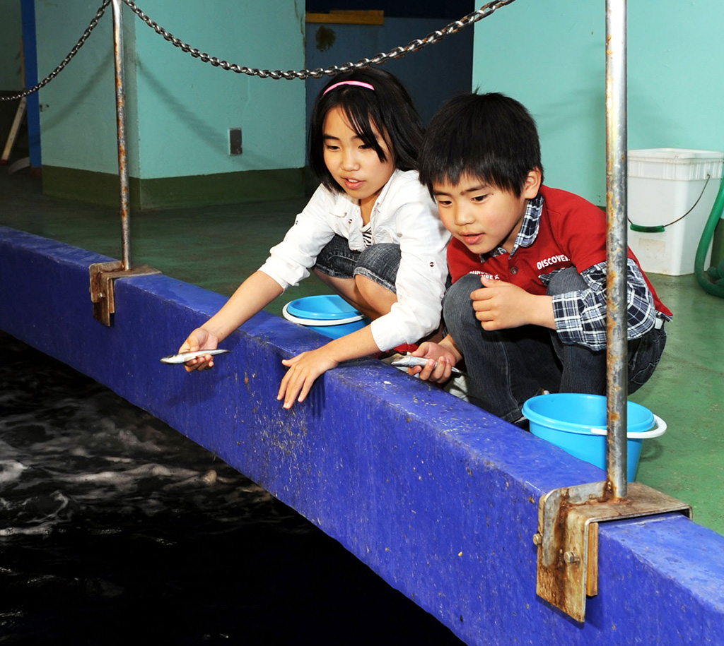 裏側見学と魚のエサやりの様子/京急油壺マリンパーク(神奈川県/三浦市)