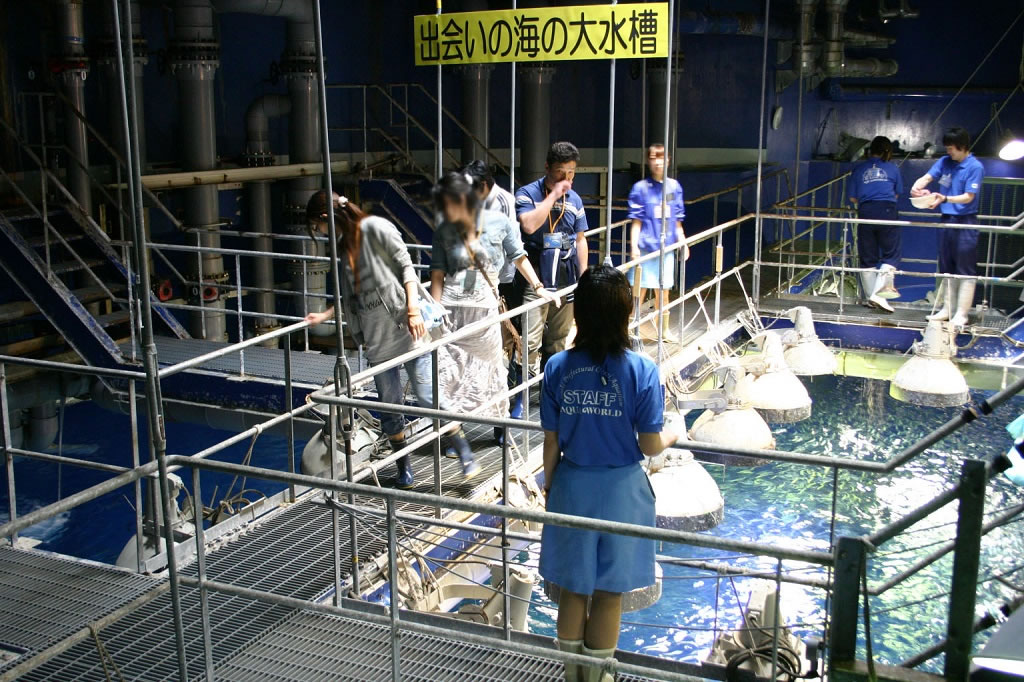 水族館探検ツアーの様子/アクアワールド茨城県大洗水族館(茨城県/大洗町)