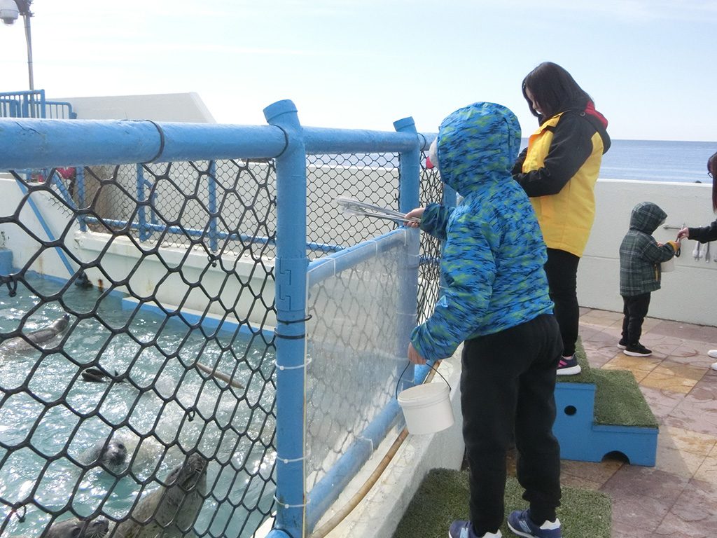 トングを使ってアザラシにエサやり体験/ノシャップ寒流水族館(北海道/稚内市)