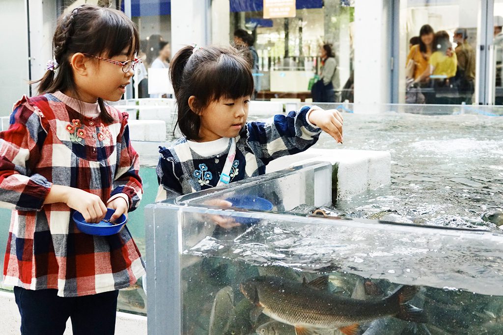 エサに寄ってくる魚たち／世界淡水魚園水族館 アクア・トト ぎふ（岐阜県／各務原市）