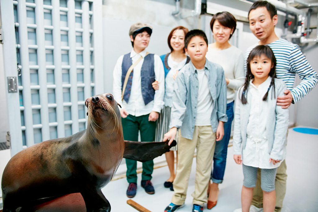バックヤードツアーを楽しむ家族/仙台うみの杜水族館（宮城県／仙台市）
