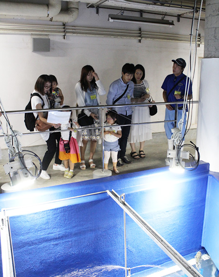 水族館の裏側案内をうける家族／のとじま水族館（石川県／七尾市）