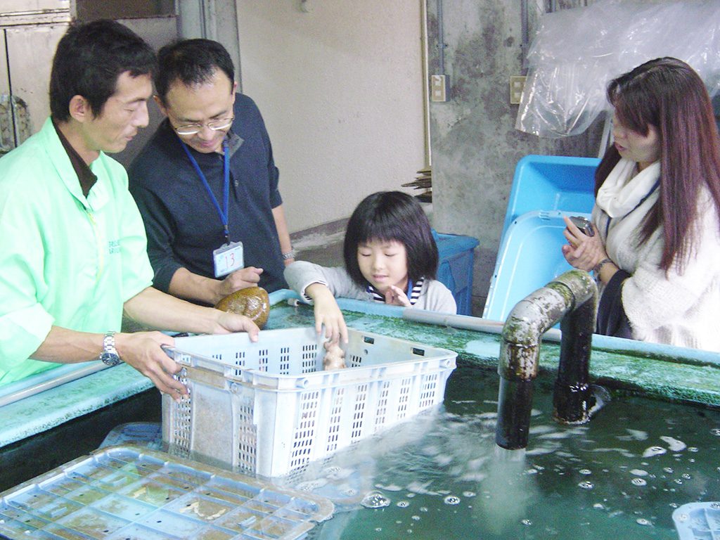 バックヤードで海の生き物にさわる子ども/越前松島水族館（福井県／坂井市）