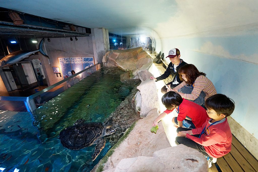 水槽を上から覗く親子/九十九島水族館海きらら（長崎県／佐世保市）