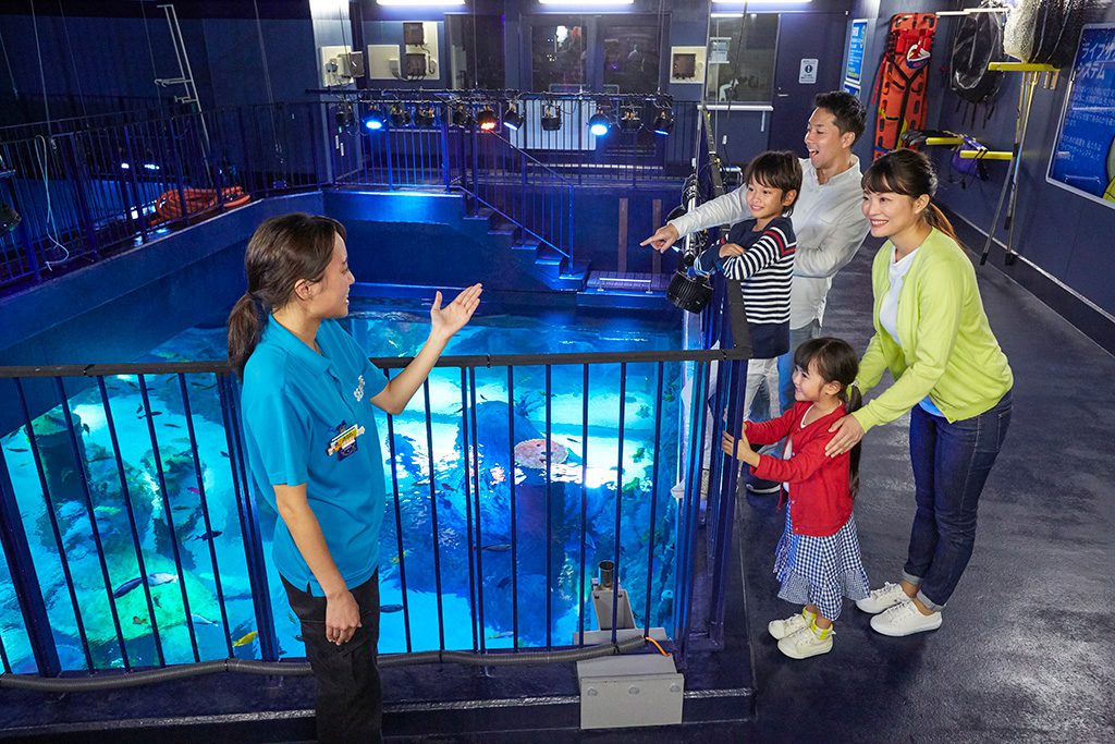 全国のバックヤードツアーがある水族館33選！普段入れない裏側に潜入