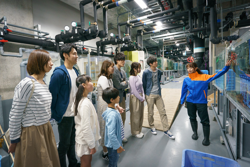 バックヤードツアーで水族館の裏側を聞く様子／上越市立水族博物館 うみがたり（新潟県／上越市）