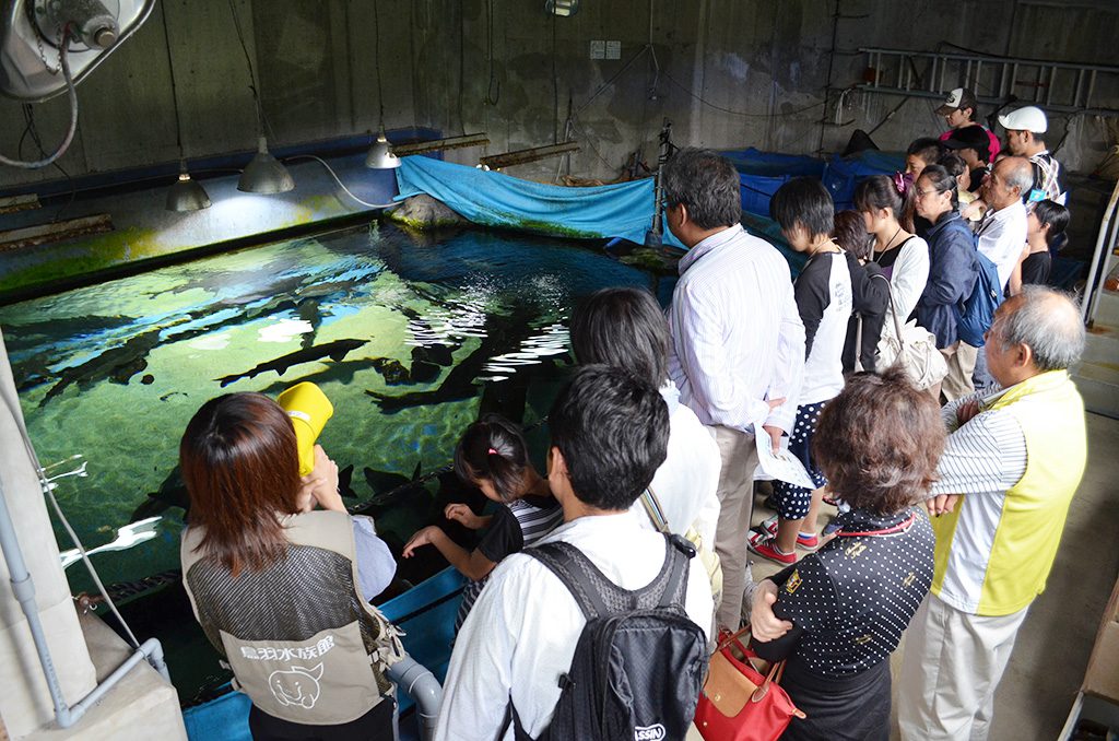 うら側探検ツアーで水族館の裏側を観察／鳥羽水族館（三重県／鳥羽市）