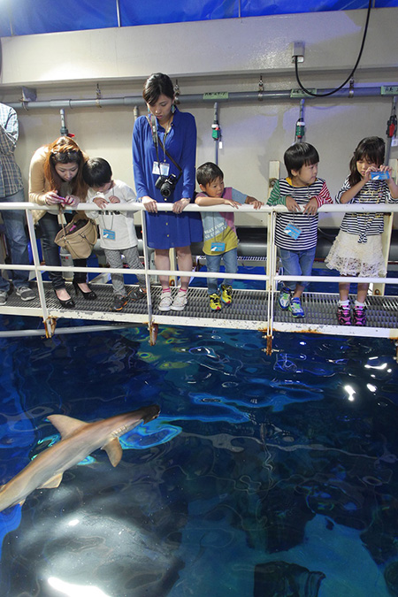 バックヤードツアーで水槽を上から見学／マリンワールド海の中道（福岡県／福岡市）