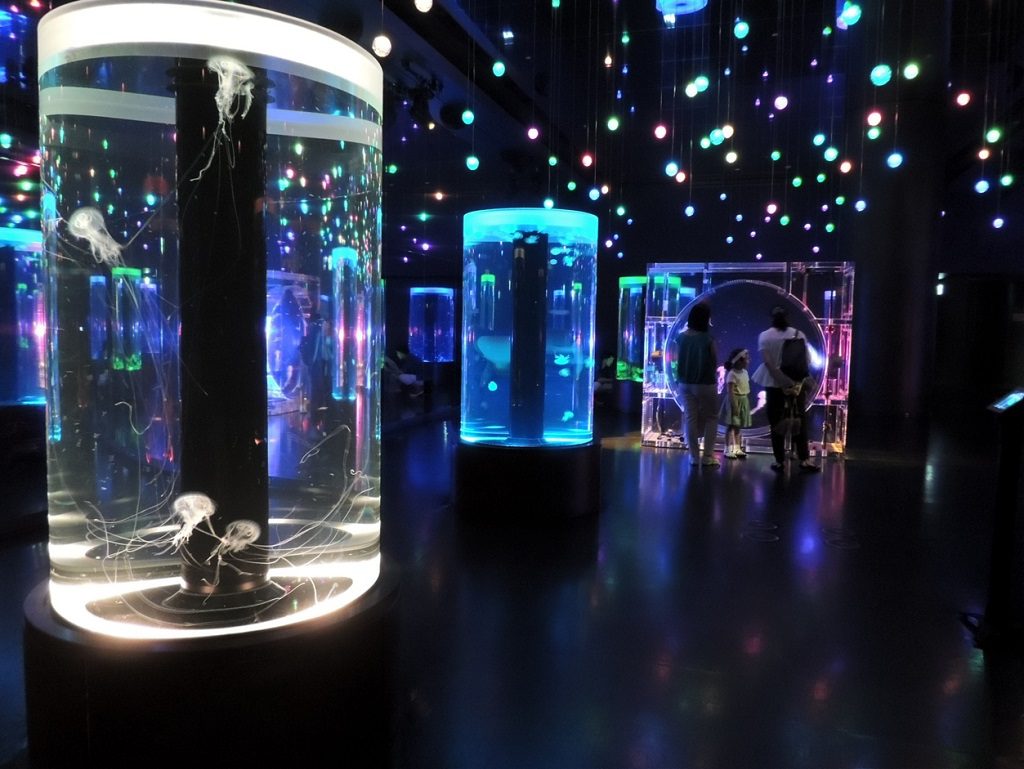 音と光で演出された大空間でゆらゆら漂うクラゲ／マクセル アクアパーク品川（東京都/港区）