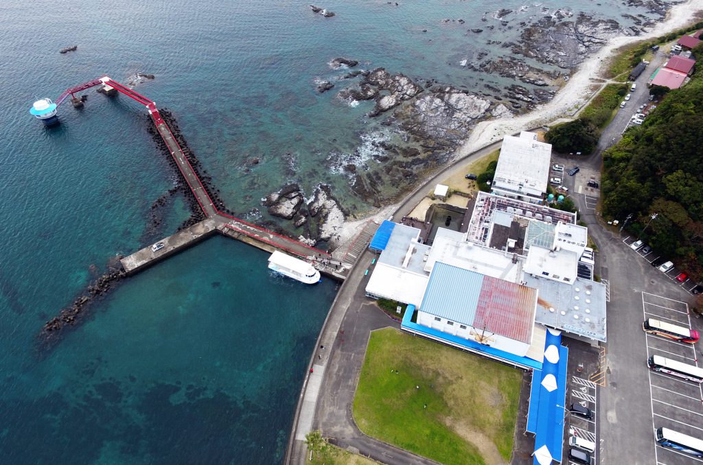 水族館でウミガメとふれあい、海中観光船から熱帯魚を眺める「串本海中公園」