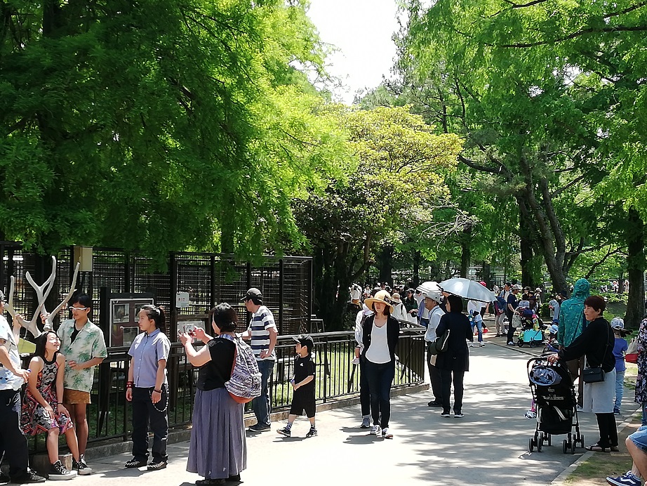 親子連れなどで賑わう動物ゾーン／熊本市動植物園