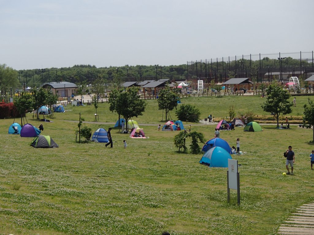 ピクニック広場の様子／大和ゆとりの森（神奈川県／大和市）