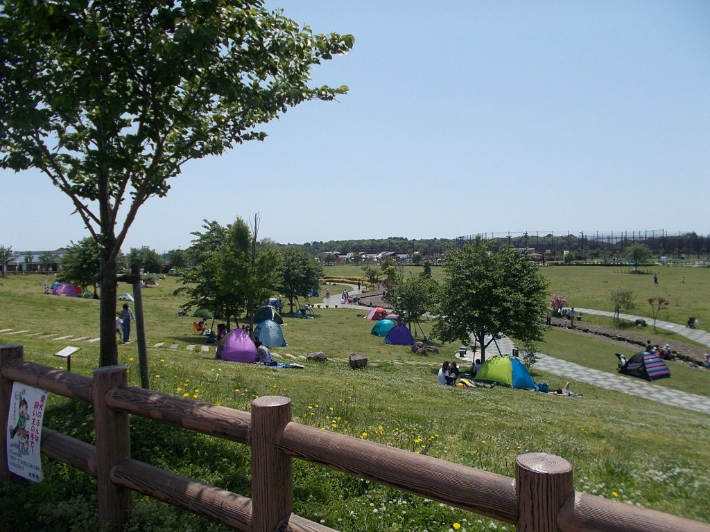 ピクニック広場の様子／大和ゆとりの森（神奈川県／大和市）