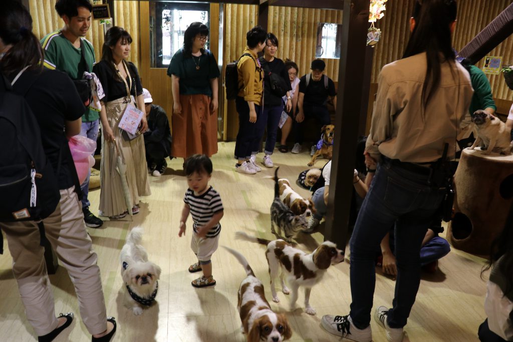 「ペットゾーン」の様子/天保山アニパ(大阪府/大阪市)